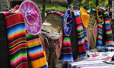 Welcome to Mexico, Ajijic/Lake Chapala, Tom Barsanti www.LakeChapalaLiving.com